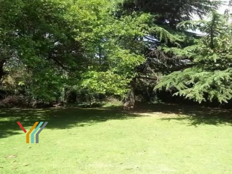 Terreno en Venta - 1