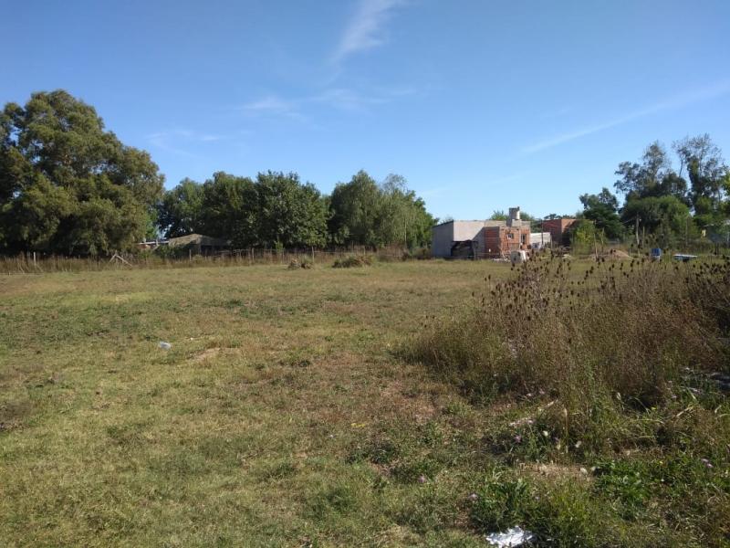 Terreno en Venta - 1