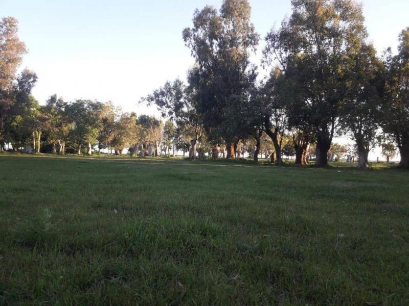 Campo en Venta - 1