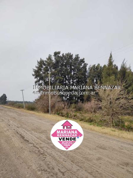 Campo en Venta - 1