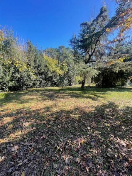 Lote en Venta - 1