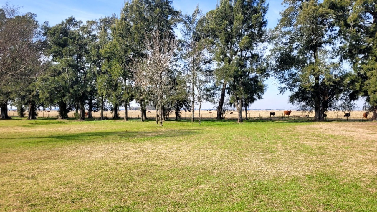 Campo en Venta - 1