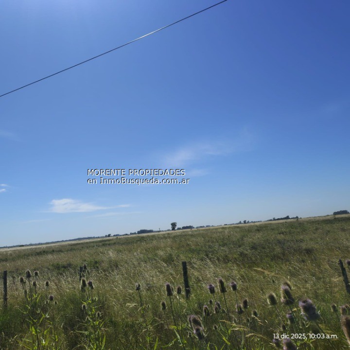 Campo en Venta