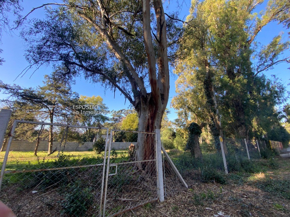 Lote en Venta - 1