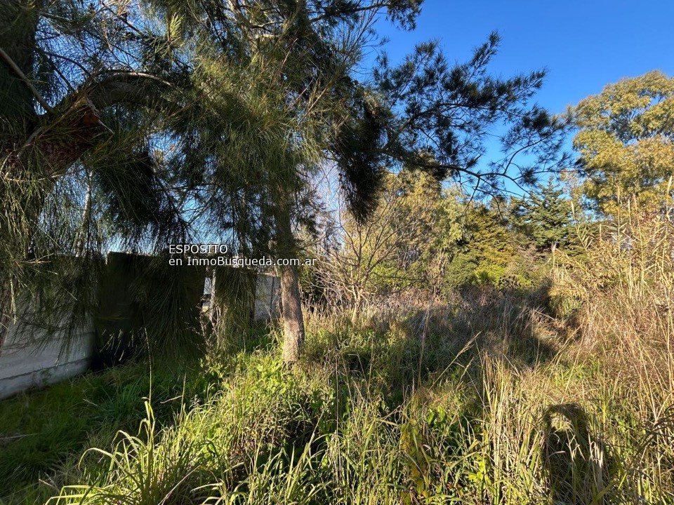 Lote en Venta - 1
