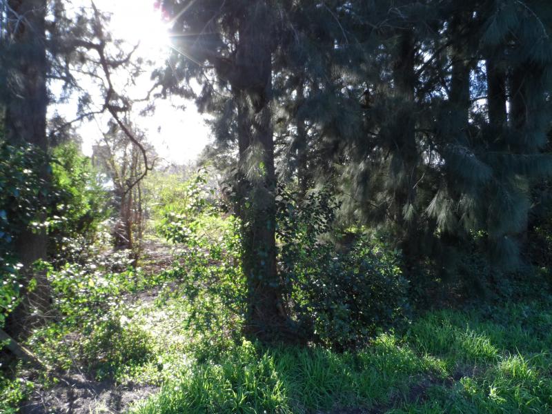 Lote en Venta